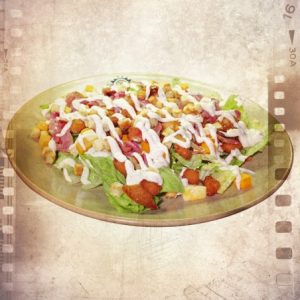 CHICKEN MAGIC SOLYNATA TORRENT